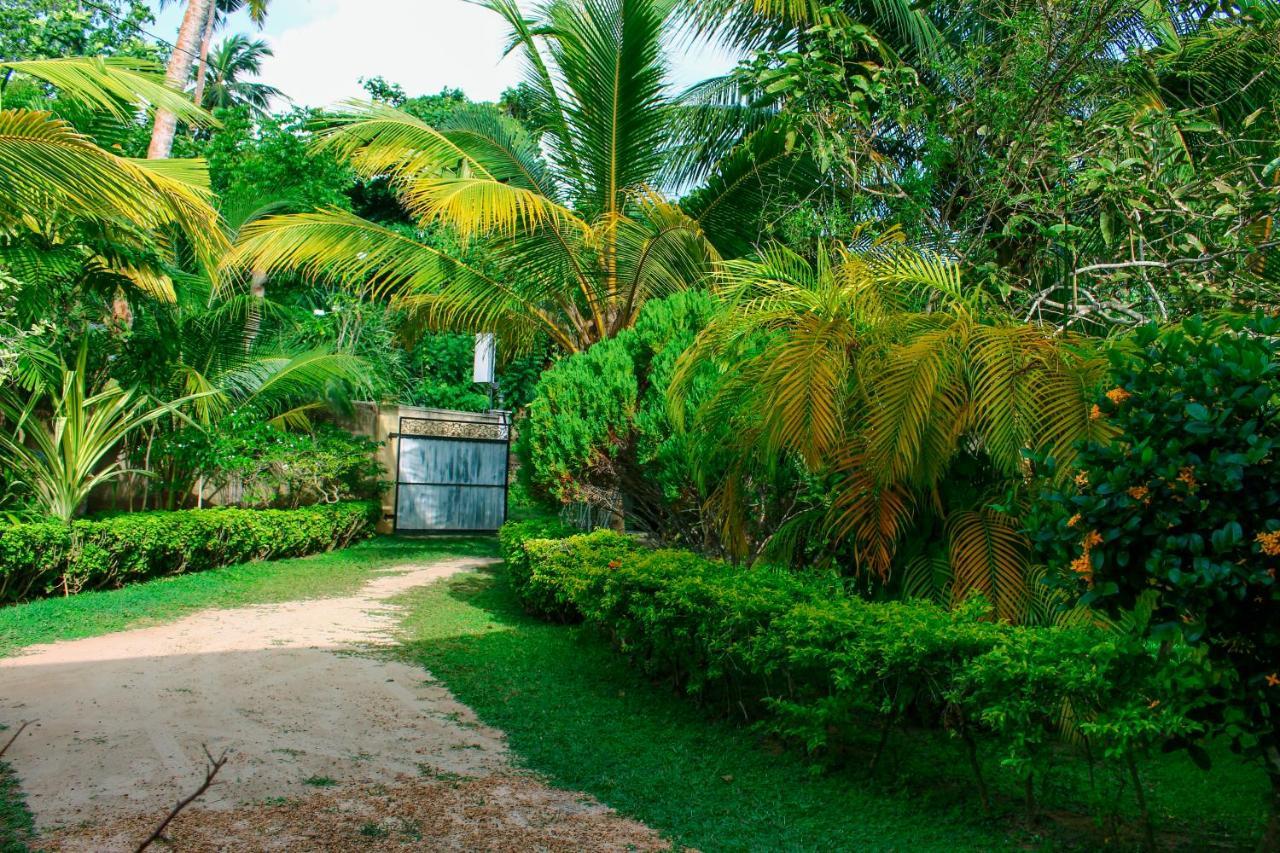Lilac Garden Mirissa Weligama Exterior foto